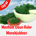 Manfaat Daun Kelor Menakjubkan