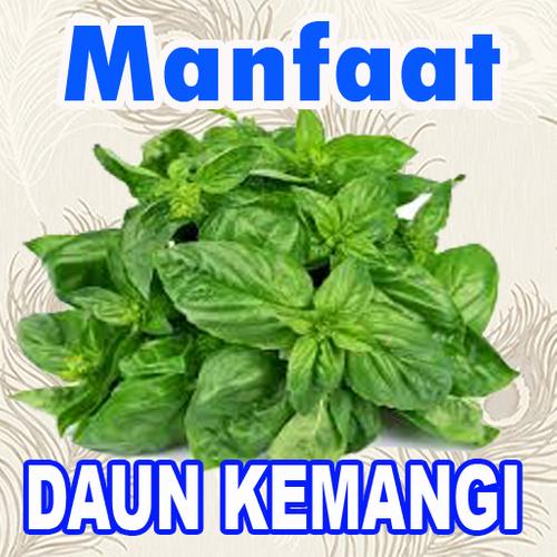 Manfaat Daun Kemangi For Android Apk Download