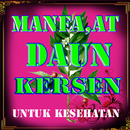 MANFAAT DAUN KERSEN LENGKAP APK