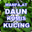 MANFAAT DAUN KUMIS KUCING