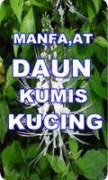 MANFAAT DAUN KUMIS KUCING capture d'écran 2