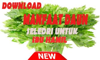 Manfaat Daun Seledri untuk Ibu Hamil تصوير الشاشة 2