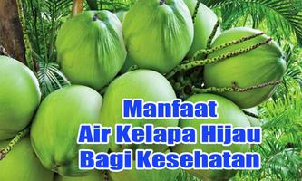 Manfaat Air Kelapa Hijau Bagi Kesehatan ภาพหน้าจอ 1