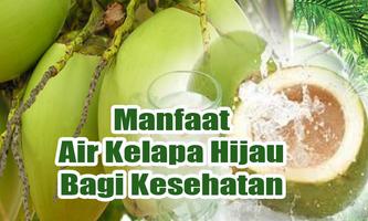 Manfaat Air Kelapa Hijau Bagi Kesehatan ภาพหน้าจอ 2