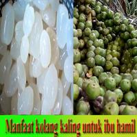 Manfaat kolangkaling,ibu hamil ภาพหน้าจอ 1