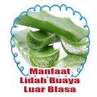 Manfaat Lidah Buaya Kesehatan dan Kecantikan आइकन