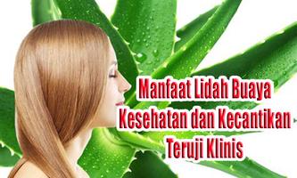 Manfaat Lidah Buaya Kesehatan dan Kecantikan تصوير الشاشة 2