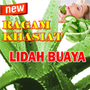 Manfaat Lidah Buaya Untuk Ragam Wajah dan Kulit APK