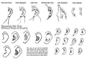 Manga Drawing Tutorials poster