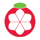 Manggis Portal icon