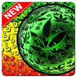 Best Rasta Wallpapers HD