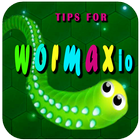 Tips for Wormax.io icono
