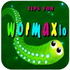 Tips for Wormax.io icon