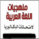 منهجيات العربية icon