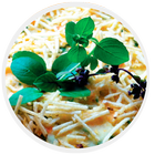 Receitas de Maionese أيقونة