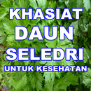 MANFAAT DAUN SELEDRI LENGKAP APK