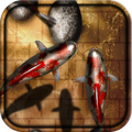 Koi Screens