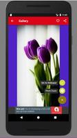 Free Tulip Wallpaper HD Affiche