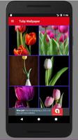 Free Tulip Wallpaper HD syot layar 2