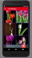 Free Tulip Wallpaper HD capture d'écran 2