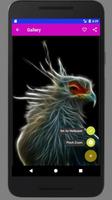 برنامه‌نما The Best Animal Neon Wallpaper HD عکس از صفحه