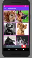 Hund Wallpaper HD Sammlungen Plakat