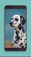 Dog Wallpaper ảnh chụp màn hình 3