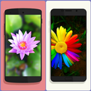 Beautiful Flower Wallpaper HD Collections APK