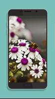 Beautiful Flower Wallpaper HD Collections ภาพหน้าจอ 3