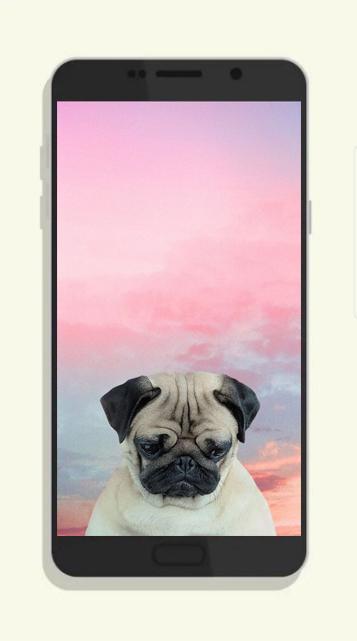 Śliczne mops tapety HD for Android - APK Download