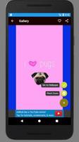 Cute Pug Wallpaper HD capture d'écran 1