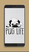 Cute Pug Wallpaper HD syot layar 3