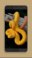 Cool Snake Wallpaper HD 스크린샷 3