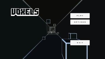 Voxels 海报