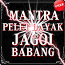 Ilmu Pelet Dayak Jagoi Babang APK