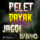 Mantra Pelet Dayak Jagoi Babang simgesi