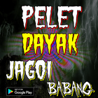 Mantra Pelet Dayak Jagoi Babang 图标