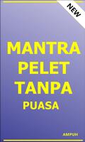 Mantra Pelet Tanpa puasa اسکرین شاٹ 1