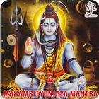 Mahamrityunjaya icono