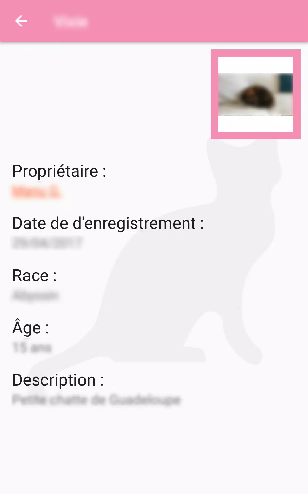 Animal Meeting APK for Android Download Animal Meeting APK for Android Download