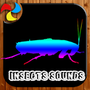 Sounds Of Insects APK