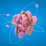 Beautiful River Images