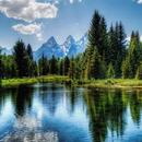 Nature Backgrounds APK