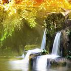 Beautiful Nature Images icon