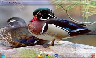 Duck Wallpapers ภาพหน้าจอ 2