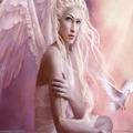 Fantasy  Wallpapers