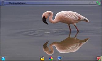 火烈鳥壁紙 海報