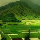 Landscape Wallpapers APK