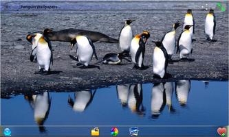 برنامه‌نما Penguin  Wallpapers عکس از صفحه