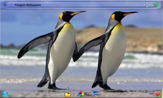 Penguin  Wallpapers اسکرین شاٹ 1